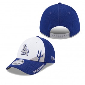 Men's Los Angeles Dodgers White Royal Spring Training Icon 9FORTY Snapback Hat